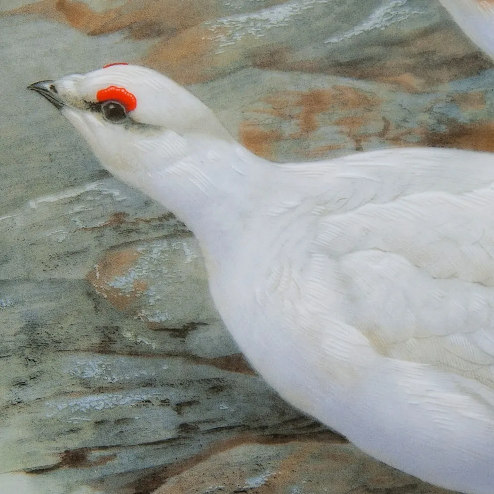 Коллекционная Тарелка «Белая Куропатка» Фарфор Лимож Limoges Франция 1979 год.