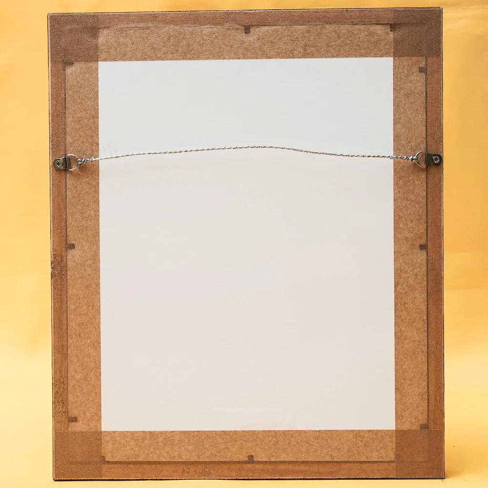 Картина - Литография «Сорока» из серии «Птицы Голландии». Nederlandce Vogelen, Голландия.