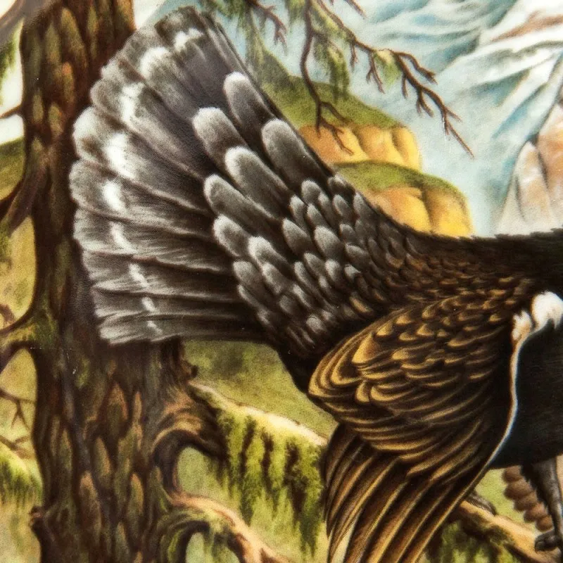 Коллекционная Тарелка «Глухарь» Охота, Фарфор KAISER Porzellan Германия -1979 год.