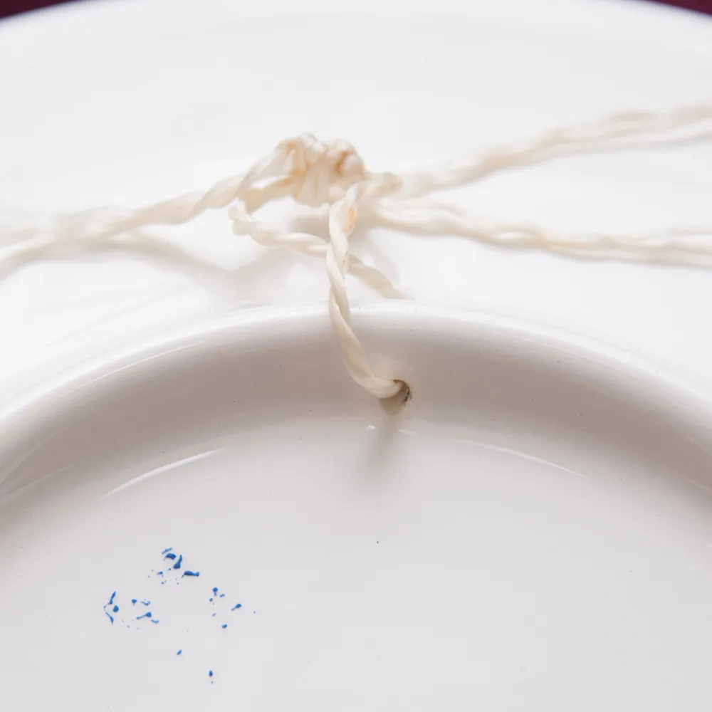 Декоративная Тарелка «Птичий мир» ЗиК Конаково СССР - 1974 год.