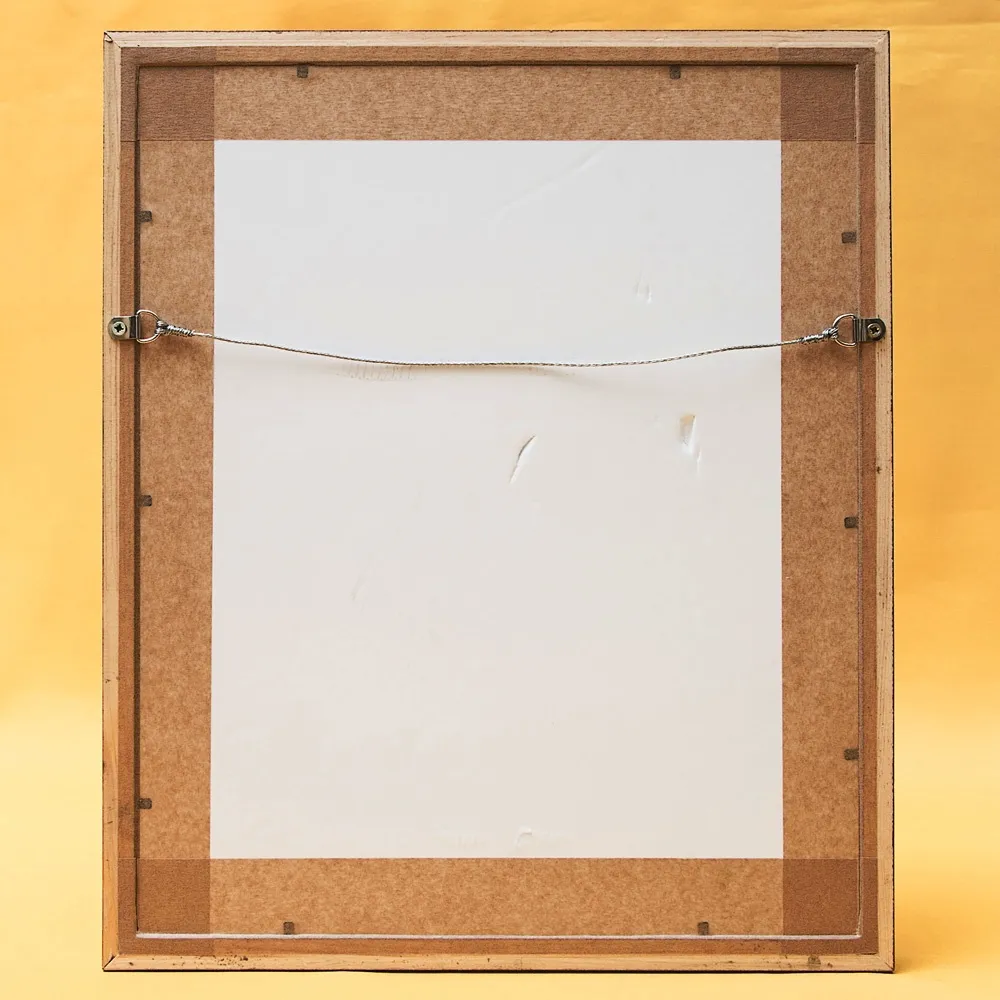 Картина - Литография «Клест» из серии «Птицы Голландии». Nederlandce Vogelen, Голландия.