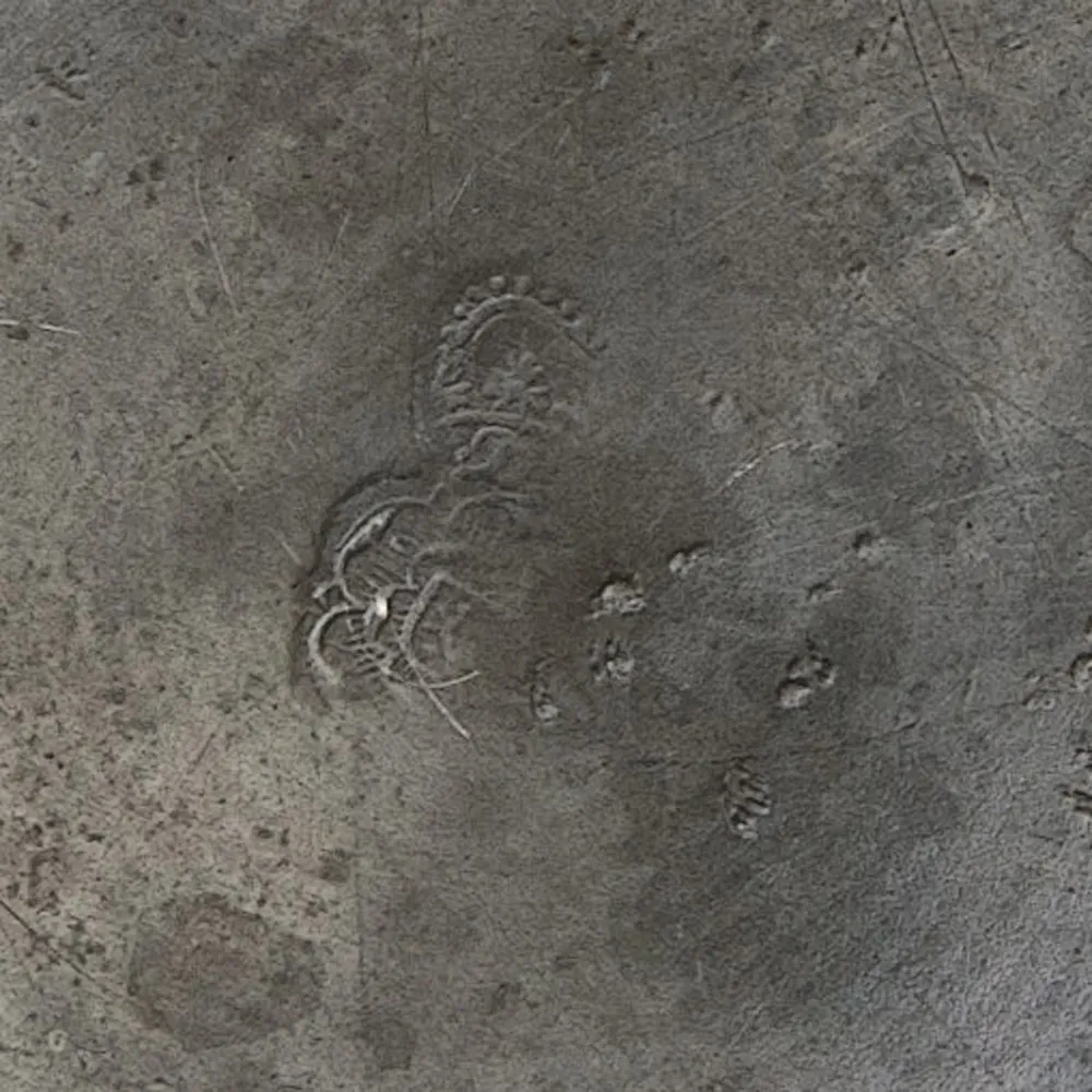 Антикварный Классический Небольшой Оловянный Кофейник на 1,3 литра. Бельгия,  ХIХ век.