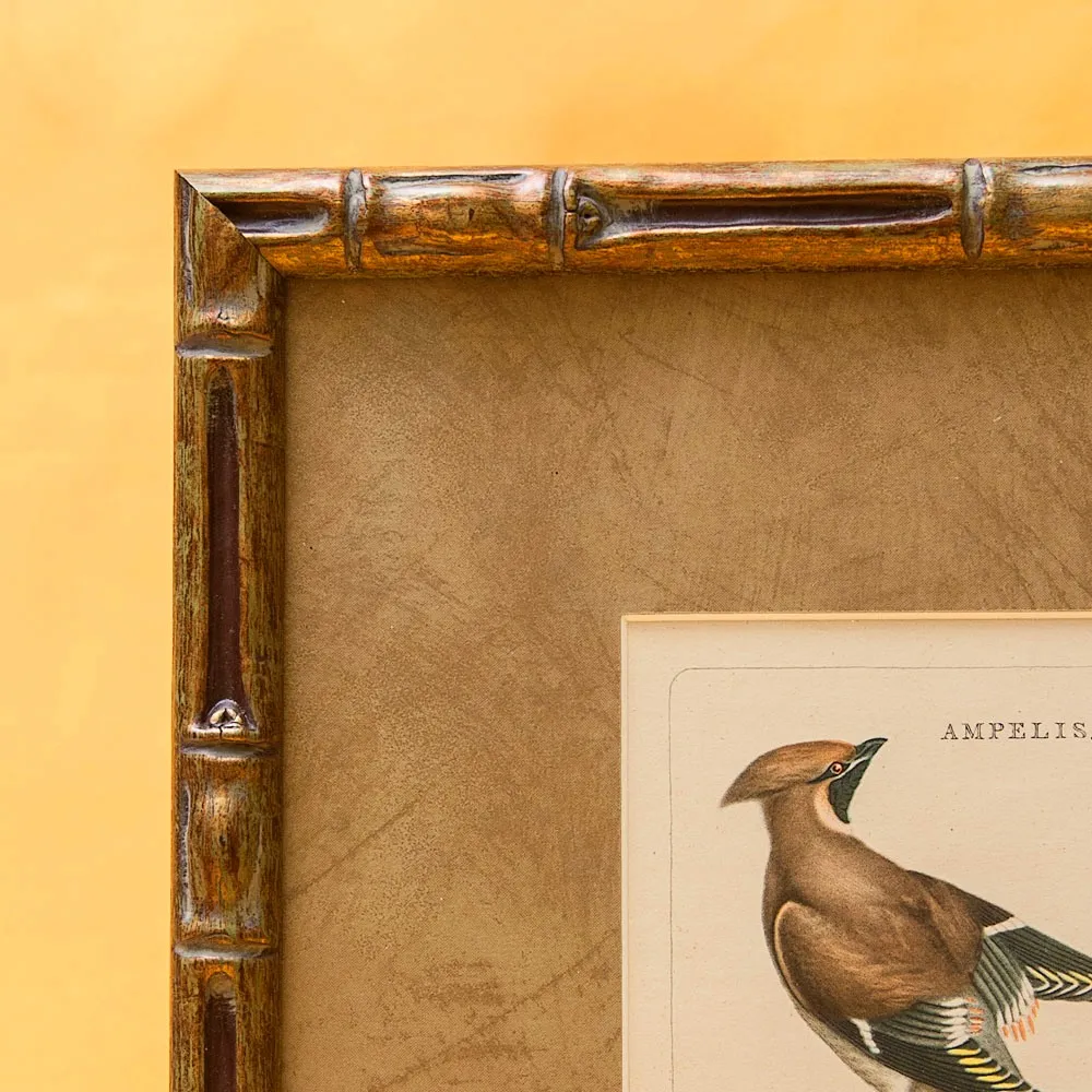 Картина - Литография «Свиристели» из серии «Птицы Голландии». Nederlandce Vogelen, Голландия.