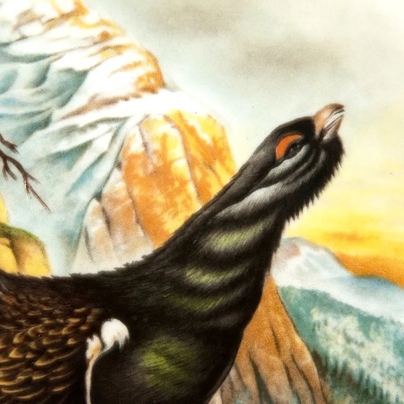 Коллекционная Тарелка «Глухарь» Охота, Фарфор KAISER Porzellan Германия -1979 год.