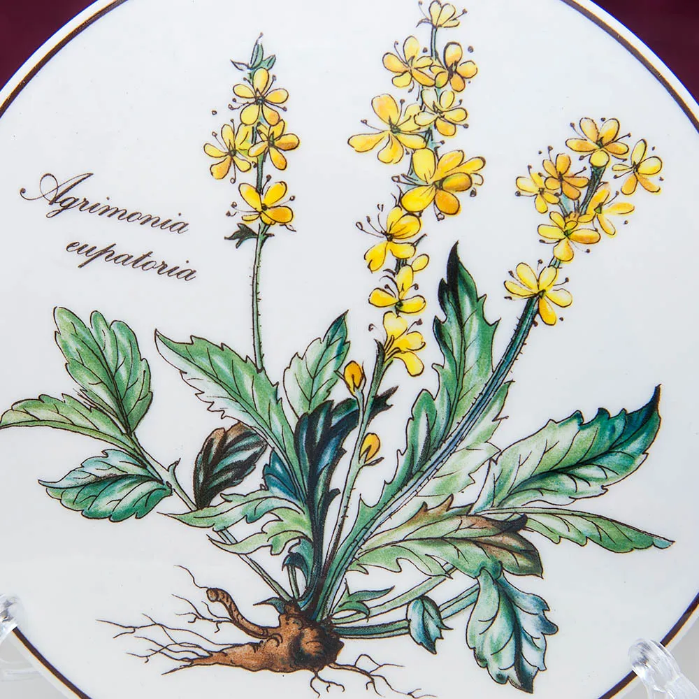 Среднего размера Шкатулка «Agrimónia» из серии Ботаника Villeroy&Boch Германия.