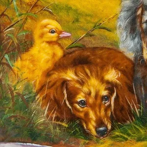 Коллекционная Тарелка «Встреча у водопоя» Фарфор, Vohenstrauss Германия -1991 год.