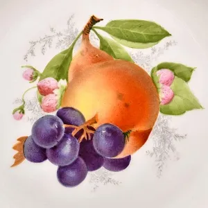 Антикварный Набор из 6-ти Фарфоровых тарелок «ФРУКТЫ-ЯГОДЫ», Rosenthal Германия, 1922- 1933 гг.