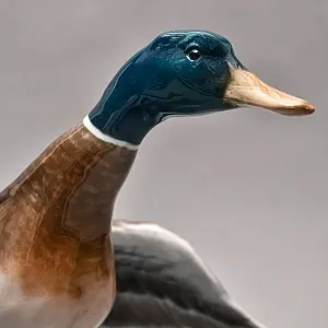 Птица - Фарфоровая Статуэтка «ВЗЛЕТАЮЩИЙ СЕЛЕЗЕНЬ», ROSENTHAL Германия, середина ХХ века.