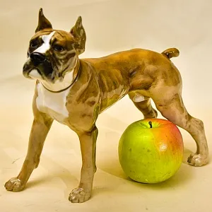 Редкость! Фарфоровая статуэтка  «Собака БОКСЕР», Hutschenreuther Германия, середина ХХ века.