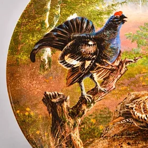 Коллекционная Фарфоровая тарелка «Тетерева на токовище», KAISER Германия - 1992 год.