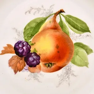 Антикварный Набор из 6-ти Фарфоровых тарелок «ФРУКТЫ-ЯГОДЫ», Rosenthal Германия, 1922- 1933 гг.