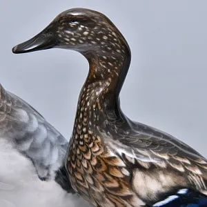 Авторская Фарфоровая статуэтка «Птицы. Утка и селезень», ROSENTHAL Германия, 1974 - 1982 годы.