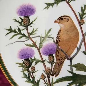 Коллекционная Тарелка - Блюдо «Боболинк или Рисовая Птица» Фарфор, WEDGWOOD Англия 1977 год.