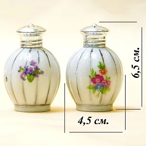 Набор для Специй Солонка + Перечница в футляре, Фарфор, Франция 50 -е годы ХХ века.