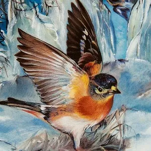 Коллекционная Тарелка «Вьюрки зимой» Фарфор, Hutschenreuther, Германия -1993 год.