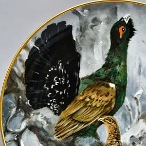 Коллекционная Фарфоровая Тарелка - Блюдо «Дикая Природа. Глухарь и глухарка», KAISER Германия. 