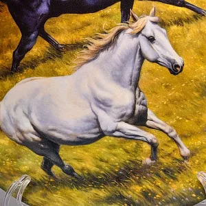 Коллекционная Фарфоровая тарелка «Лошади. Скачки на лугу», Furstenberg Германия - 1996 год.