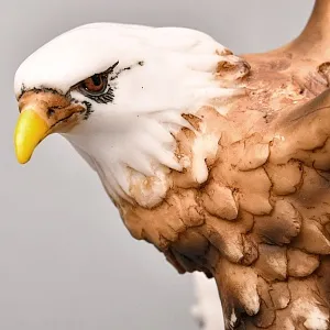 Большая Коллекционная статуэтка Птица - «Орел. Белоголовый орлан», Fanconi Arts Италия.