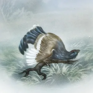 Столовый Фарфоровый сервиз «Охота» на 12 персон, Kaestner Saxonia Германия, первая половина ХХ века.