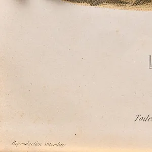 Винтажная Картина - Иллюстрация - Гравюра «Мода. Перед балом», Франция.