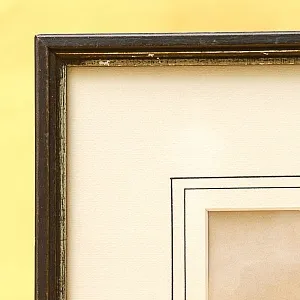 Антикварная Иллюстрация - Гравюра - Картина «Энциклопедия Лепидоптерологии - Бабочки», Германия -1869 год.