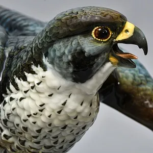 Большая Фарфоровая Статуэтка «Птица - Сокол-Сапсан», Hutschenreuther, Германия -1970 год.