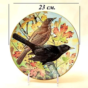 Коллекционная Тарелка «Черный Дрозд» Фарфор Лимож Limoges Франция 1984 год.