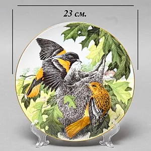 Коллекционная Тарелка «Иволга - Строительство гнезда» Фарфор, Franklin Porcelain США -1983 год.