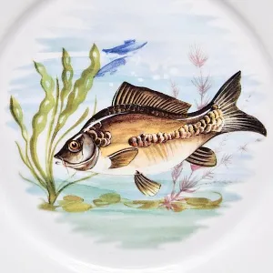 Столовый «Рыбный» Сервиз на 6 персон, Фарфор Limoges / Лимож Франция, конец ХХ века.