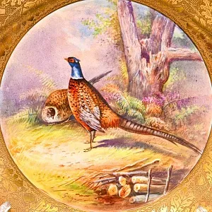  Антикварная Тарелка - Блюдо «Охотничьи птицы - Два фазана»,Фарфор Limoges COIFFE Франция, 1891 - 1914 годы. 