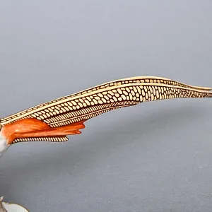 Коллекционная Фарфоровая статуэтка Птица - «Золотой Фазан», Hutschenreuther Германия, 60-е гг.