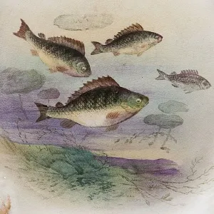 Антикварный Набор тарелок для подачи рыбы - 3 шт., FRANZ ANTON MEHLEM Германия, 1885 -1920 гг.