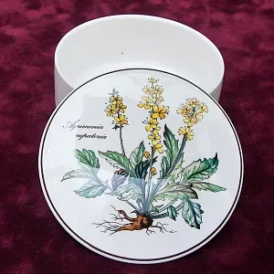 Среднего размера Шкатулка «Agrimónia» из серии Ботаника Villeroy&Boch Германия.