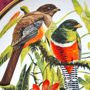 Коллекционная Тарелка - Блюдо «Ошейниковый Трогонт» Фарфор, Franklin Porcelain США -1980 год.