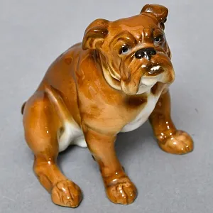 Коллекционная Фарфоровая статуэтка «Cобака. Английский бульдог» Hutschenreuther Германия, середина ХХ века.