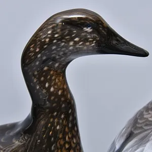 Авторская Фарфоровая статуэтка «Птицы. Утка и селезень», ROSENTHAL Германия, 1974 - 1982 годы.