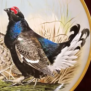 Коллекционная Тарелка «Тетерев - Тетёрки» Фарфор Лимож Limoges Франция 1979 год.