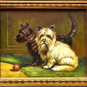 Старинная Картина «Шотландские Терьеры — Два Друга», Доска, масло, Англия середина ХХ века. 