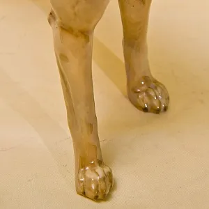 Редкость! Фарфоровая статуэтка  «Собака БОКСЕР», Hutschenreuther Германия, середина ХХ века.