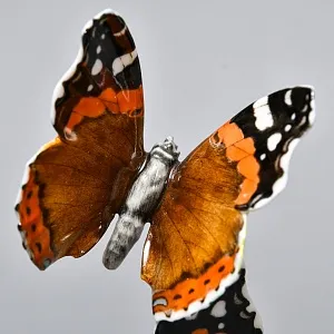 Коллекционная Фарфоровая статуэтка «Бабочки», Hutschenreuther Германия, первая половина ХХ века. 