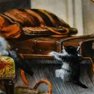 Коллекционная Фарфоровая тарелка «Кошка - котята - Игра со шляпной коробкой», W.J.GEORGE США - 1990 год.