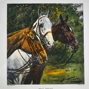 Редкость! Картина - Цветная Гравюра «Лошади - Поло». Thomas ROSS Англия.