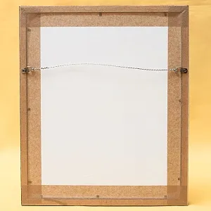 Картина - Литография «Попугай на ветке» из серии «Птицы», Голландия.