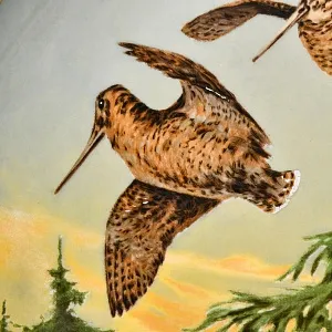 Коллекционная Фарфоровая Тарелка - Блюдо «Дикая Природа. Летящие Бекасы», KAISER Германия. 