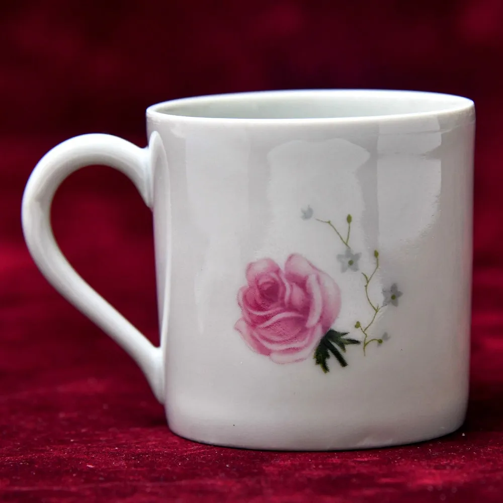 Коллекционная Кофейная Пара «Розовый куст», фарфор Porcelains Champs-Elysees Limoges, Франция.