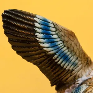 Птица - Фарфоровая статуэтка «Утка - Селезень» Н -18 см., Карл Энс / Karl Ens,  Германия, 50-е годы ХХ века.