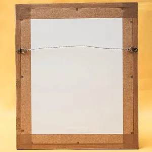 Картина - Литография «Сорока» из серии «Птицы Голландии». Nederlandce Vogelen, Голландия.