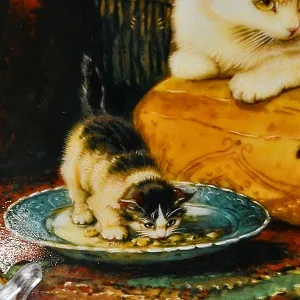 Коллекционная Фарфоровая тарелка «Кошка и котята - Дневные забавы», W.J.GEORGE США - 1991 год.