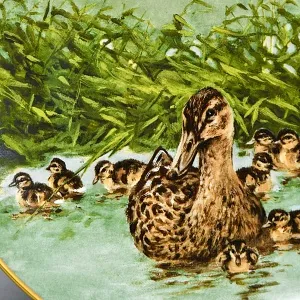 Коллекционная Фарфоровая Тарелка - Блюдо «Дикая Природа. Утиная семья», KAISER Германия. 