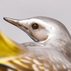 Коллекционная Фарфоровая статуэтка «Птица. Трясогузка», ROSENTHAL Германия, 60-е гг. ХХ века.